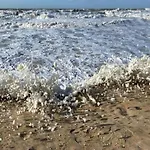 In With Stunning Sea View Апартаменты Остенде