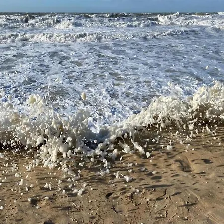 In With Stunning Sea View Apartamento Ostend